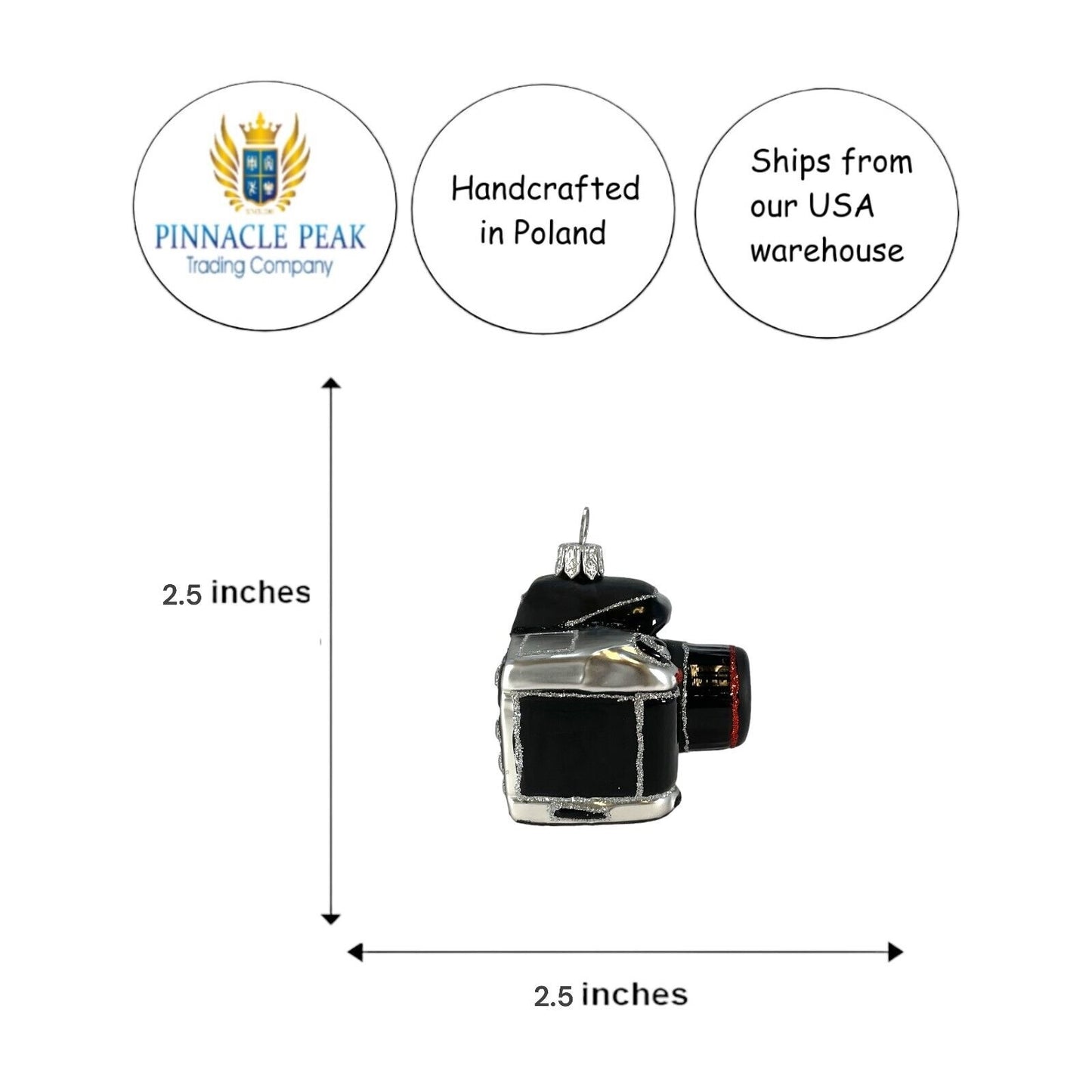 Pinnacle Peak Trading Digital Camera Photography Polish Blown Glass Christmas Ornament Decoration