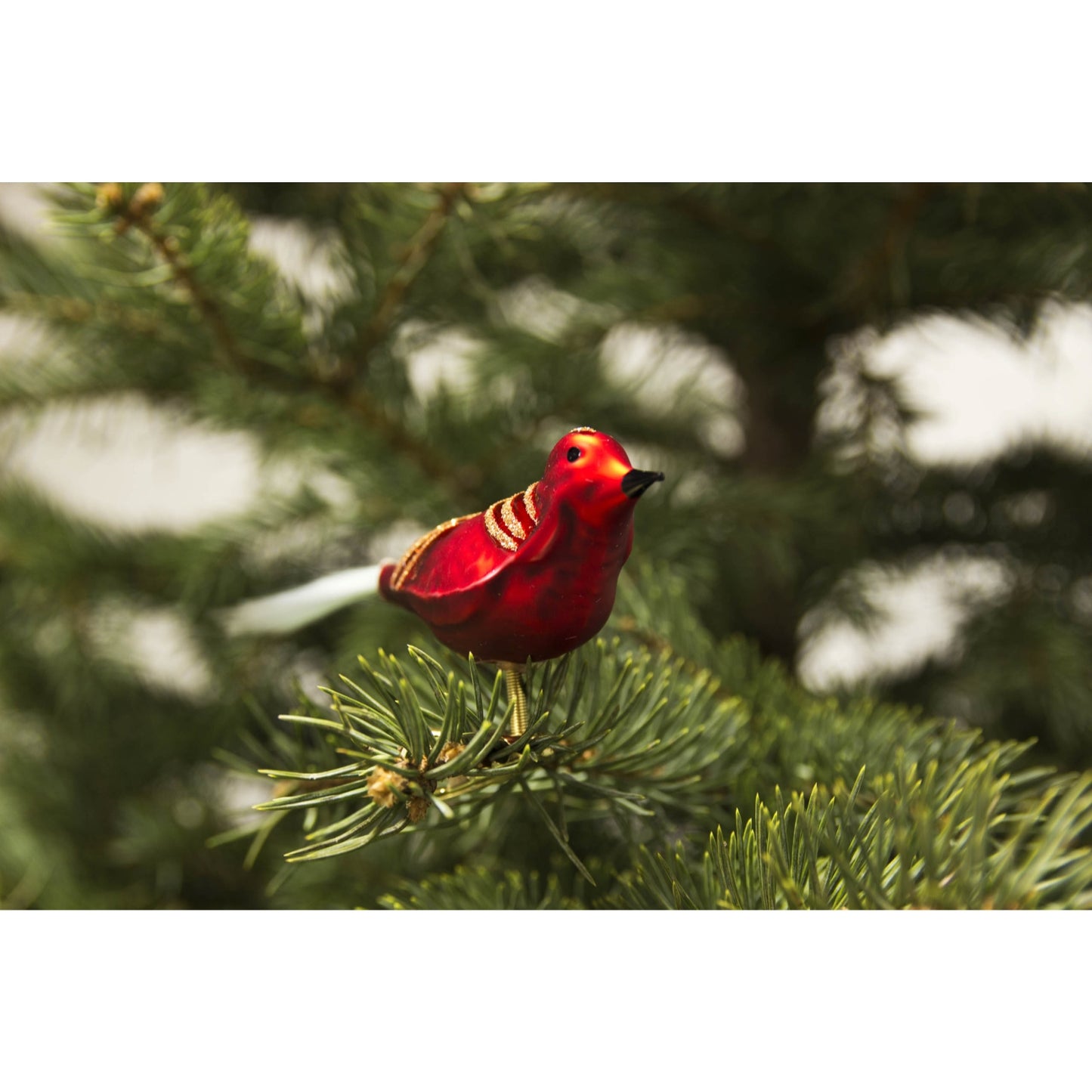 Pinnacle Peak Trading Matte Red German Glass Bird Ornament 4 Piece Set 5.5 Inch