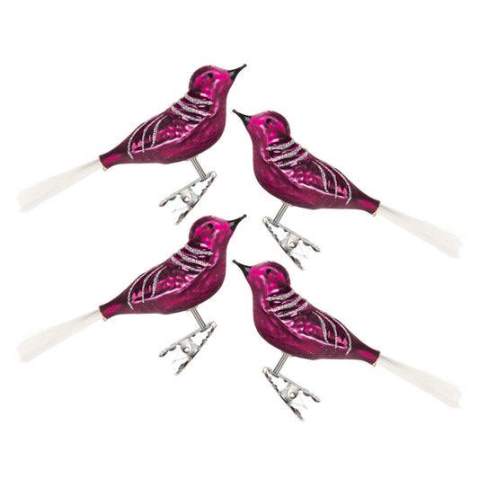 Pinnacle Peak Trading German Glass Matte Berry Bird Ornament 5 Piece set 4 Inch