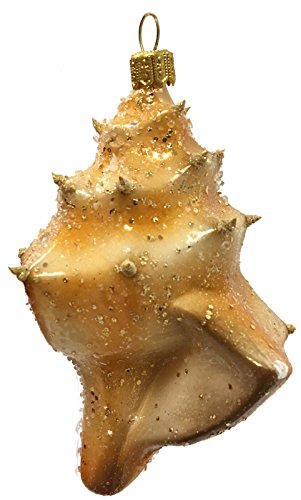 Conch Seashell Polish Glass Christmas Tree Ornament Sea Shell Beach Coastal