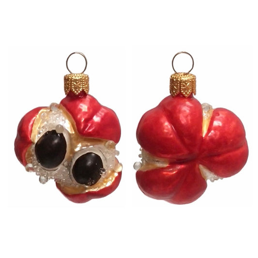 Guarana Fruit Polish Blown Glass Christmas Ornament Set of 2 Holiday Decoration